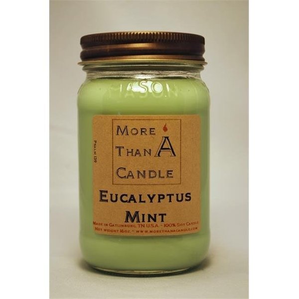 More Than A Candle More Than A Candle ELM16M 16 oz Mason Jar Soy Candle; Eucalyptus Mint ELM16M